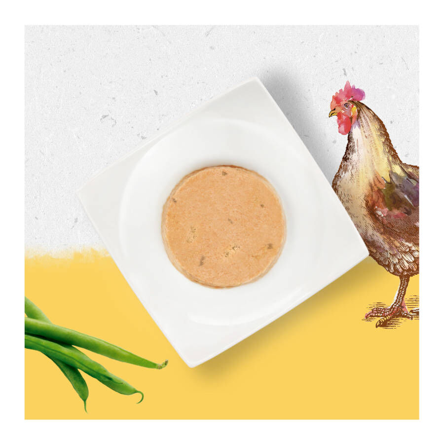 85 g Beyond Grain Free pollo lata para gatos, , large Imagen numero 3