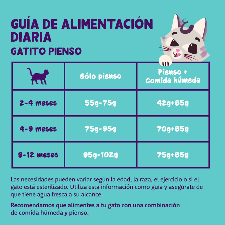 Edgard &amp; Cooper Kitten Pato y Pollo pienso thumbnail