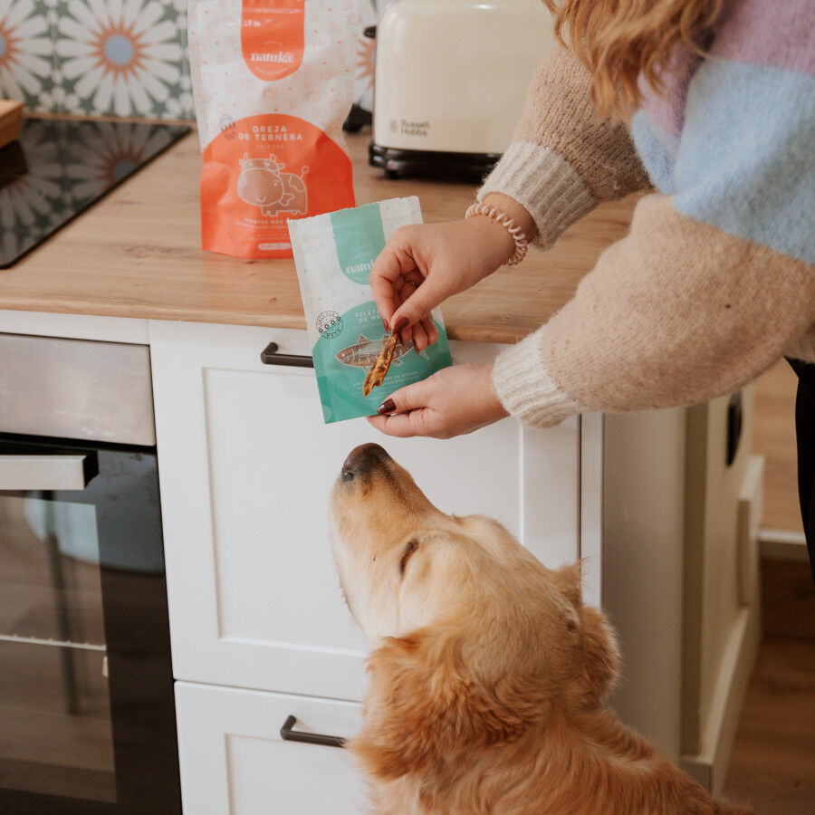 50 g Natuka Filetitos de Melva Snack Natural para perros y gatos, , large Imagen numero 2