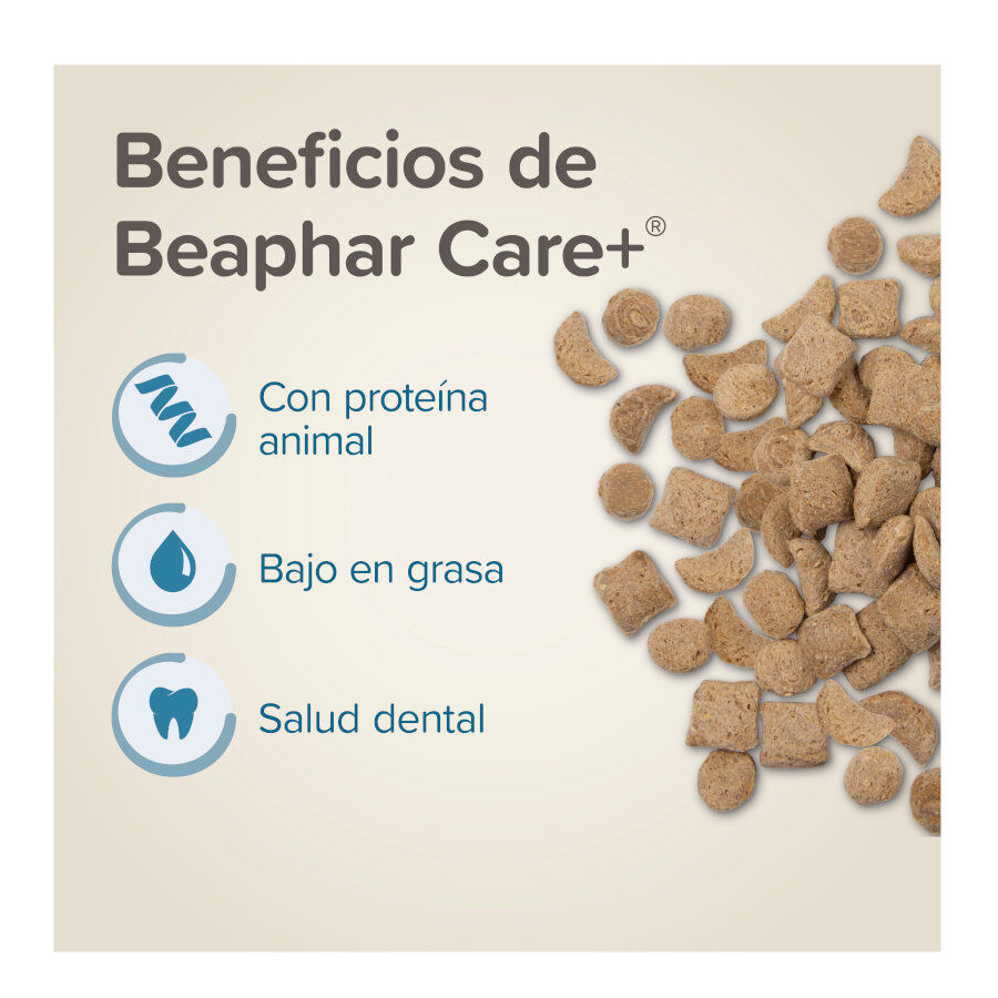 Beaphar Care+ Pienso para ratas, , large Imagen numero 3