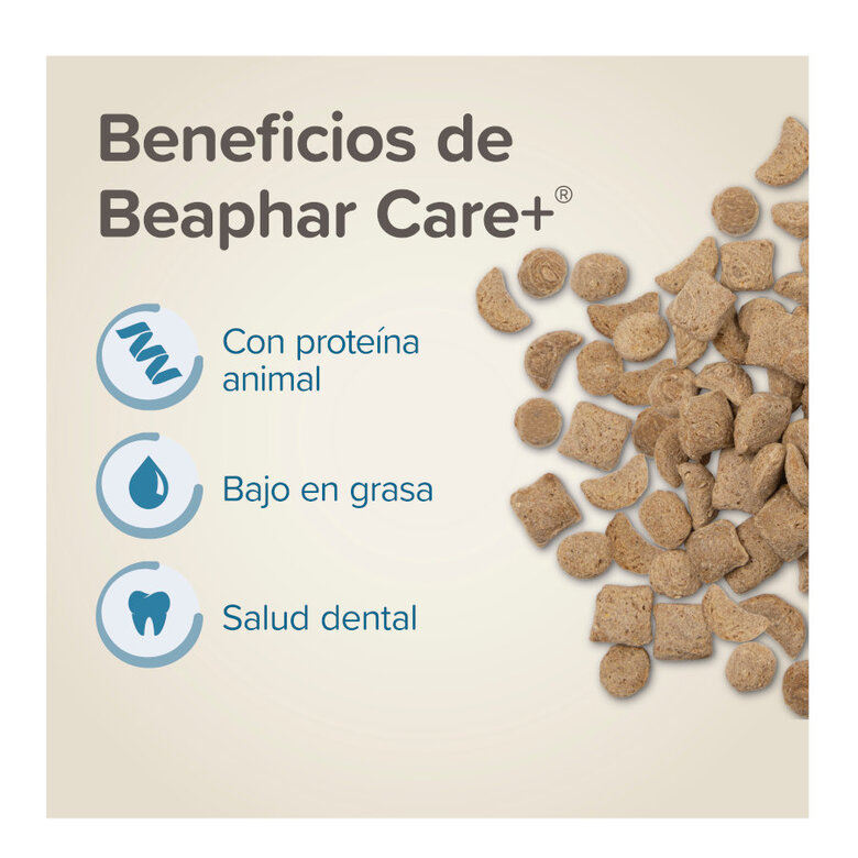 Beaphar Care+ Pienso para ratas,  Imagen numero 3 Beaphar Care+ Pienso para ratas, , large Imagen numero 3