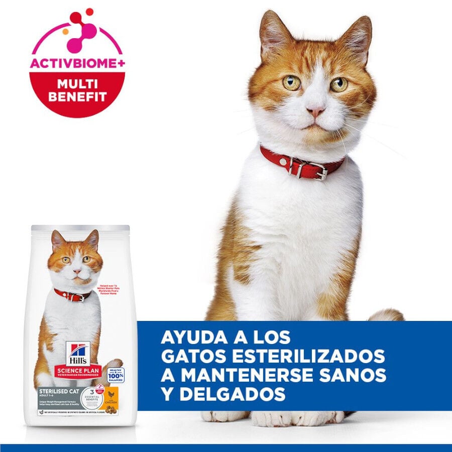 2 x 7 kg Hill's Science Plan Sterilised Adult Pollo pienso para gatos &iexcl;Pack ahorro!, , large Imagen numero 4