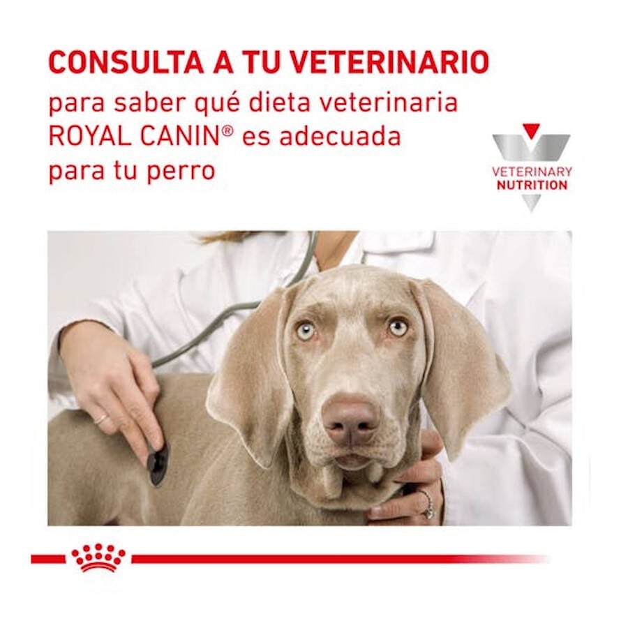 Royal Canin Gastrointestinal Low Fat lata para perros thumbnail