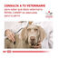 420 g Royal Canin Gastrointestinal Low Fat lata para perros, , large indicador imagen numero 8