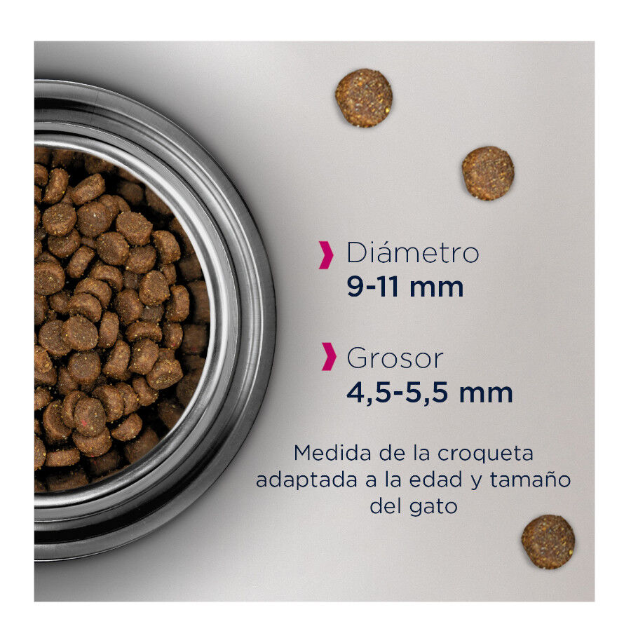 Eukanuba Adult Pollo & H&iacute;gado comida para gatos Imagen numero 2