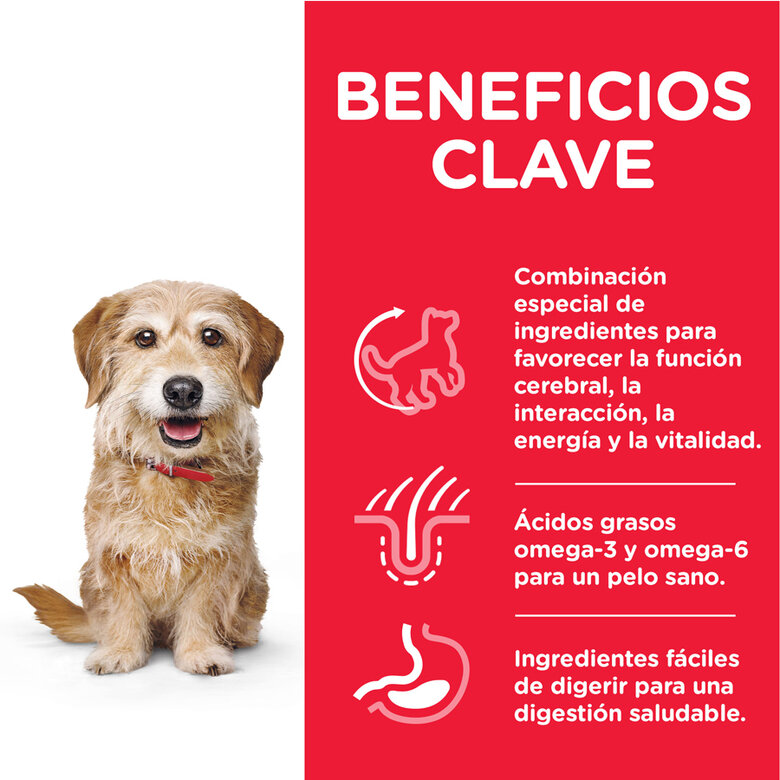 Hill's Science Plan Youthful Vitality Adult Small & Mini Pollo pienso para perros, , large image number null
