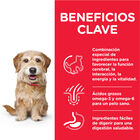 Hill's Science Plan Youthful Vitality Adult Small & Mini Pollo pienso para perros, , large image number null