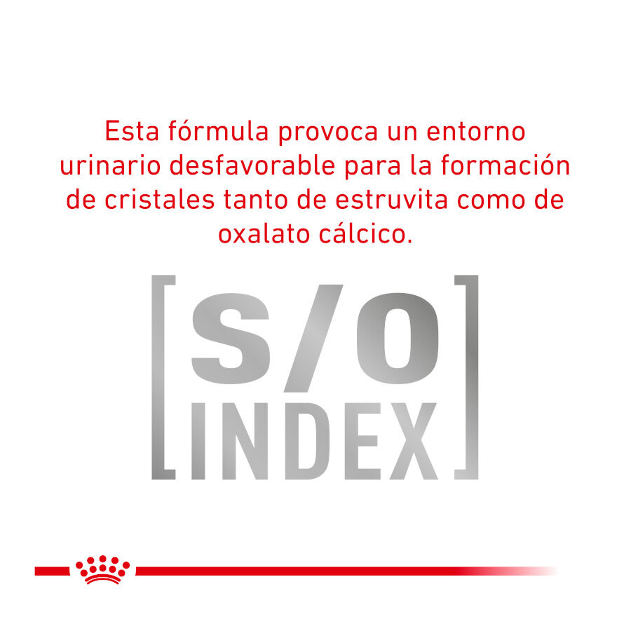 Royal Canin Veterinary Urinary Moderate Calorie sobres para gatos thumbnail