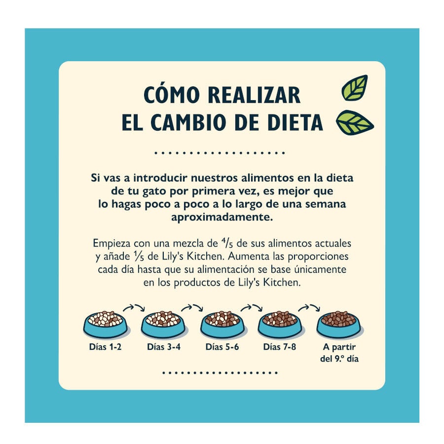 2 kg Lily's Kitchen Pescado blanco pienso para gatos, , large Imagen numero 5