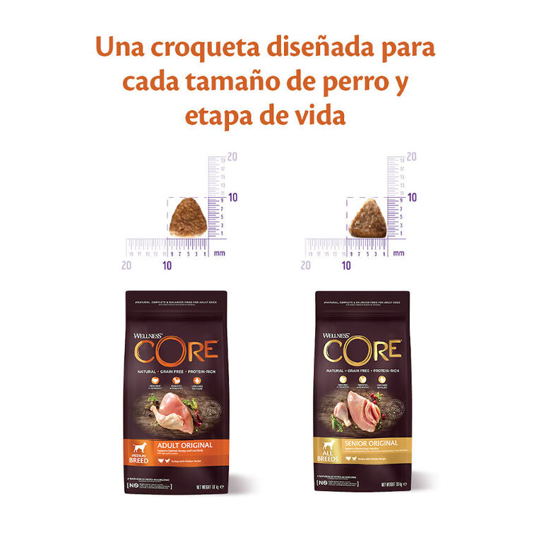 Wellness Core Adult Medium/Large Ocean Salmón y Atún pienso para perros thumbnail