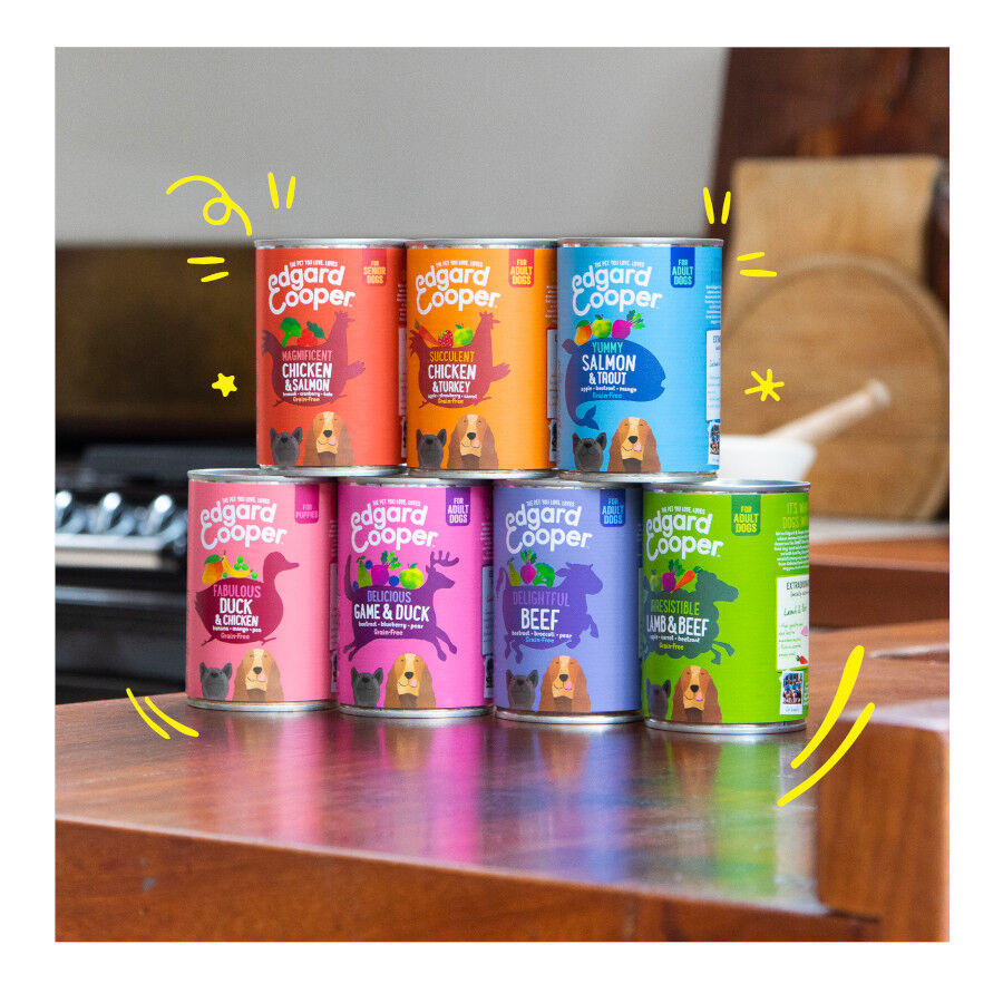 Lata Edgard &amp; Cooper Senior Pollo y Salmón lata para perros thumbnail