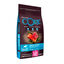 12 kg (10 + 2 kg ¡gratis!) Wellness Core Adult Medium/Large Ocean Salmón y Atún pienso para perros, , large indicador imagen numero 1