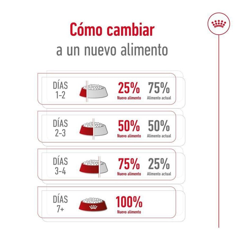 15 kg Royal Canin Maxi Adult pienso para perros,  Imagen numero 9 15 kg Royal Canin Maxi Adult pienso para perros, , large Imagen numero 9