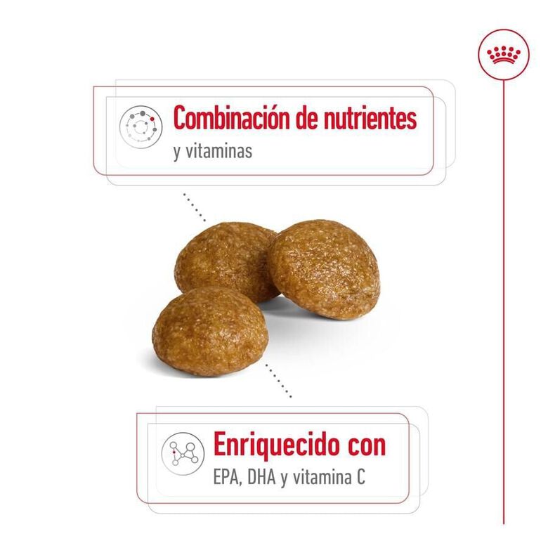 Royal Canin X-Small 8+ Mature pienso para perros thumbnail