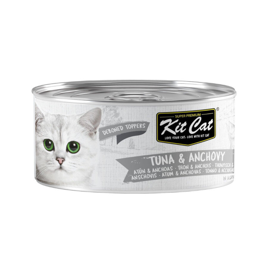 Kit Cat At&uacute;n con Anchoas Gelatina Lata para gatos, , large Imagen numero 1