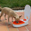 Ferplast Cometa Dispensador Automático de Alimentos para perros y gatos, , large indicador imagen numero 3