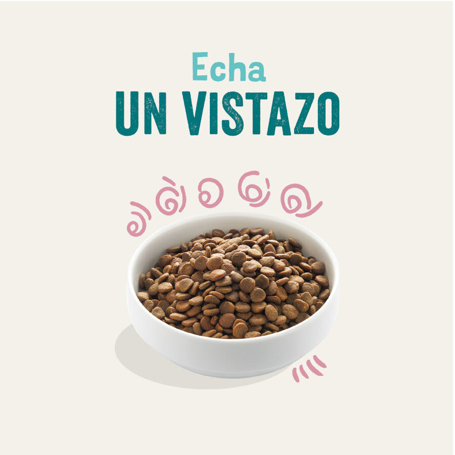 Edgard &amp; Cooper Puppy Pato y Pollo pienso para cachorros thumbnail