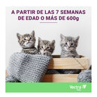 Vectra Felis Pipetas Antiparasitarias para gatos - Pack 3, , large image number null