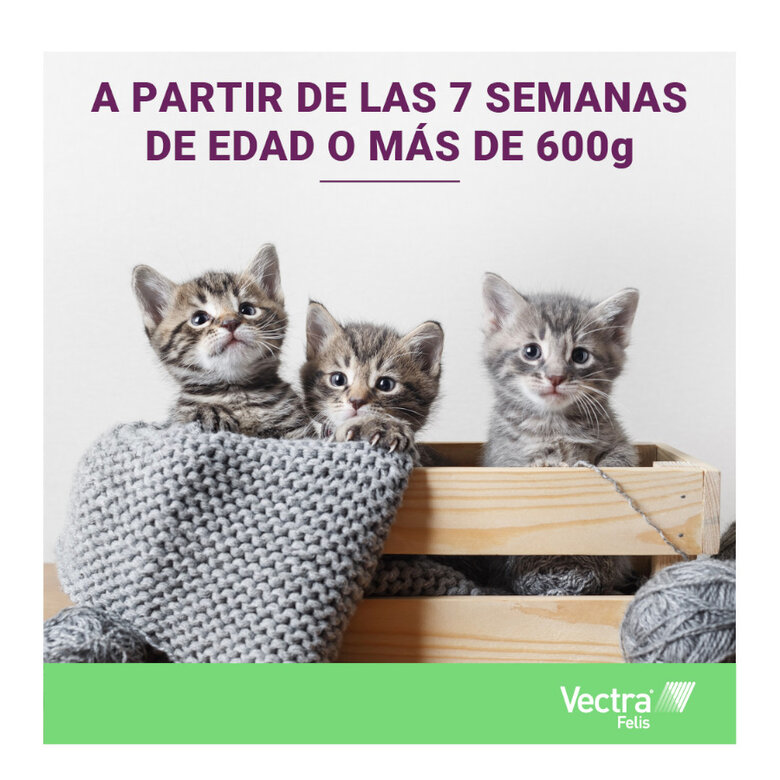 Vectra Felis Pipetas Antiparasitarias para gatos - Pack 3, , large image number null