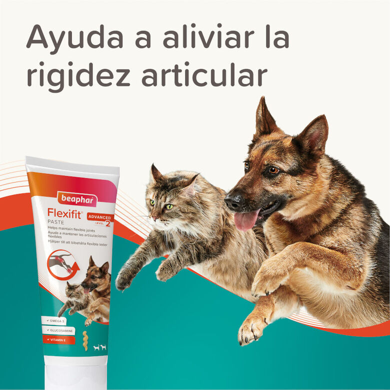 Beaphar Pasta Flexifit para perros y gatos thumbnail