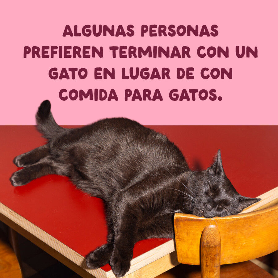 70 g Edgard & Cooper Filetes de Pollo y Gambas Lata para gatos, , large Imagen numero 9