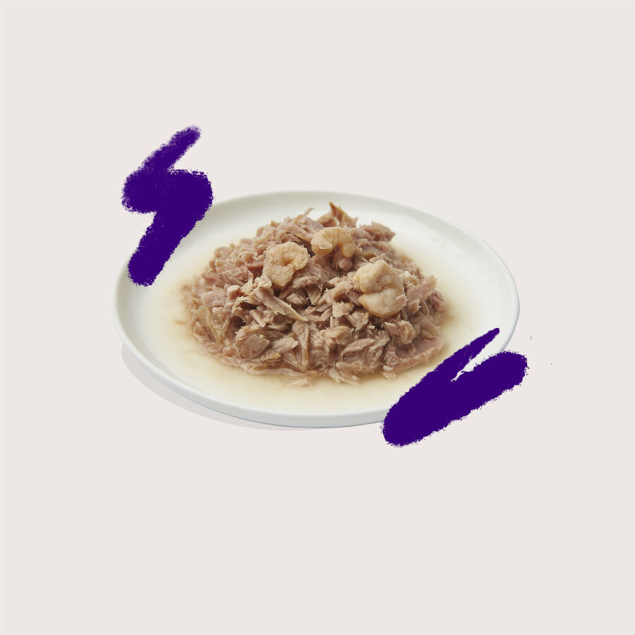 Edgard &amp; Cooper Filetes de Atún y Gambas lata para gatos thumbnail