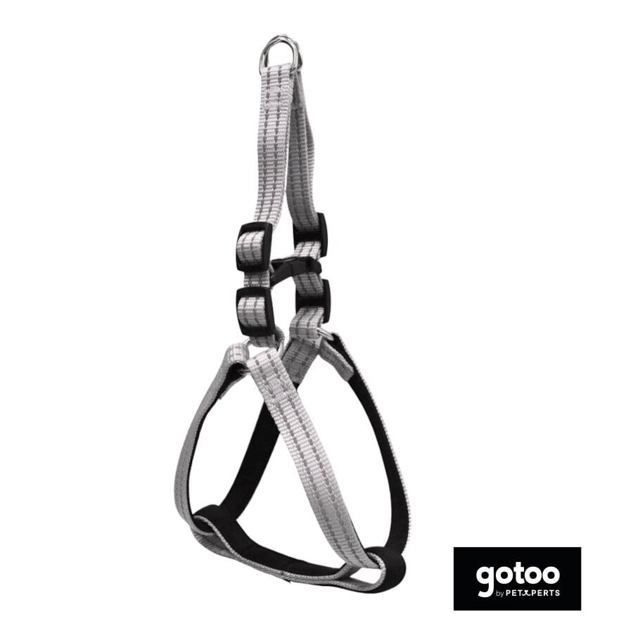 Gotoo Arn&eacute;s reflectante de neopreno gris para perros, , large Imagen numero 2