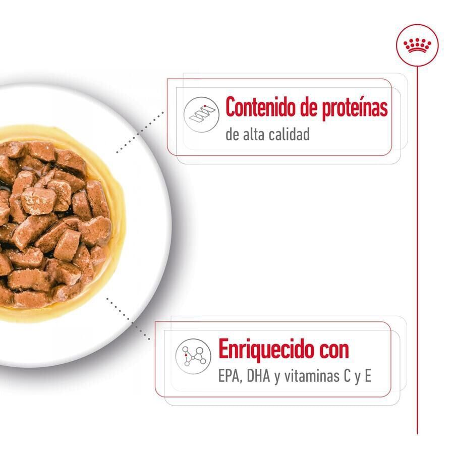 Royal Canin Medium Ageing sobre en salsa para perros thumbnail