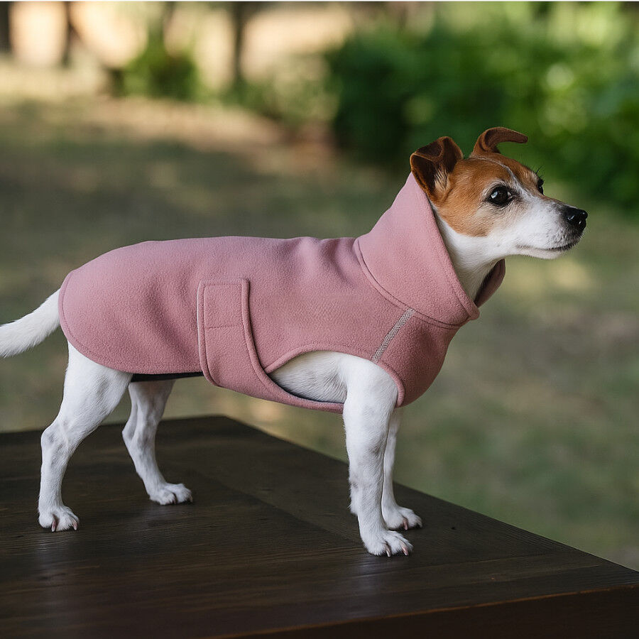 Freedog Polar Snowpuff Morado para perros thumbnail