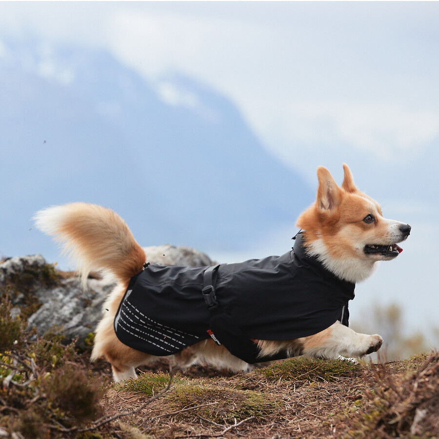 Non-stop dogwear Fjord Chubasquero Impermeable Negro para perros thumbnail