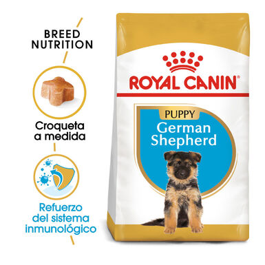 Royal Canin Puppy Pastor Alemán pienso para perros