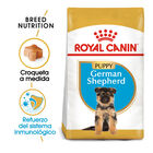 Royal Canin Puppy Pastor Alemán pienso para perros, , large image number null
