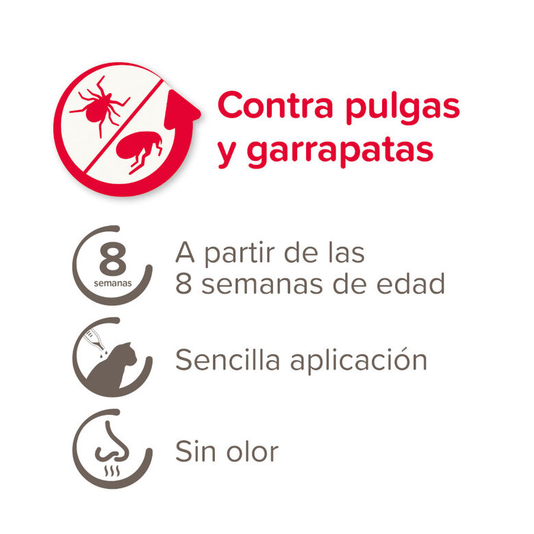 Beaphar Fiprotec Pipetas Antiparasitarias para gatos thumbnail