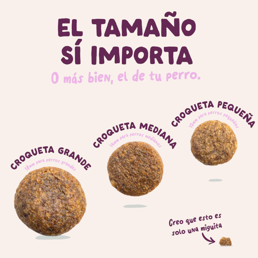2.5 kg Edgard & Cooper Adult Venado y Pato pienso para perros, , large Imagen numero 5