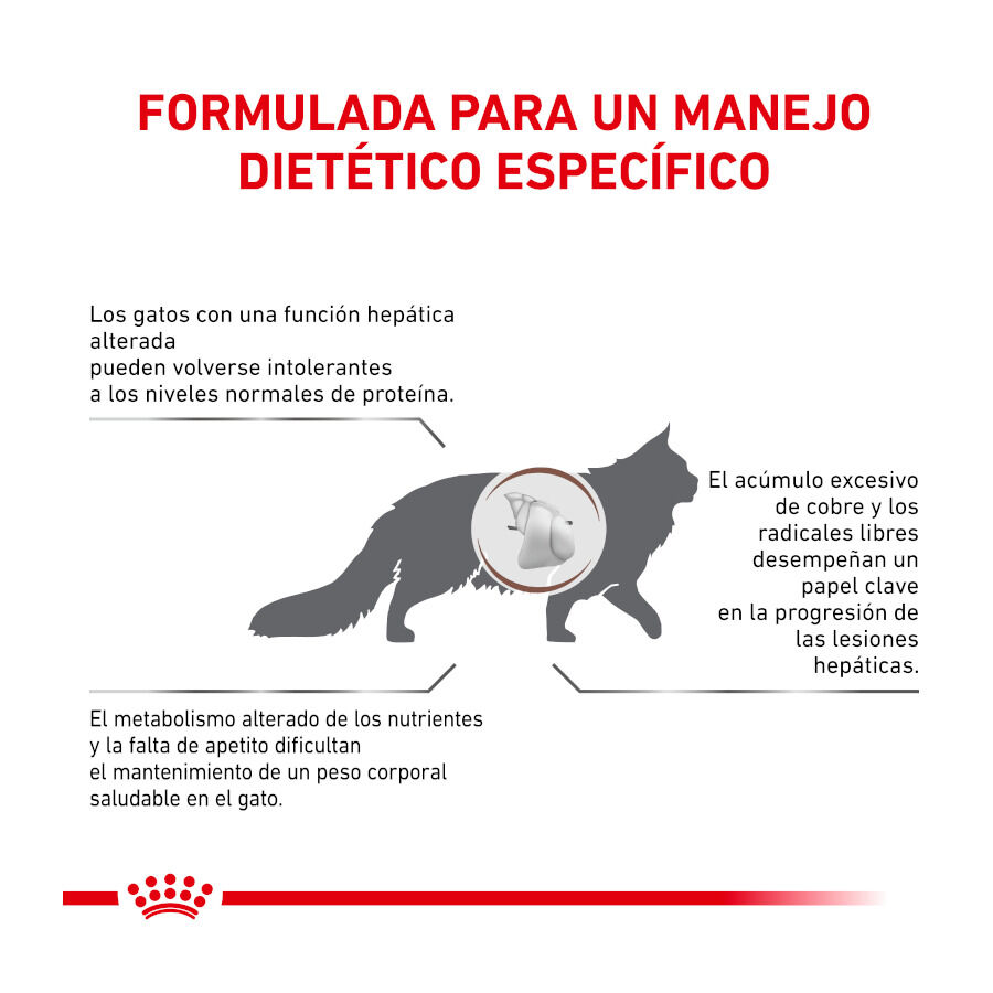 Royal Canin Veterinary Hepatic pienso para gatos thumbnail