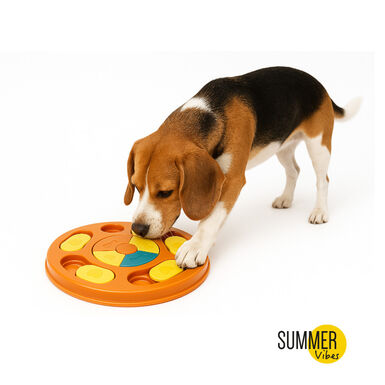 Summer Vibes Juguete Interactivo para perros
