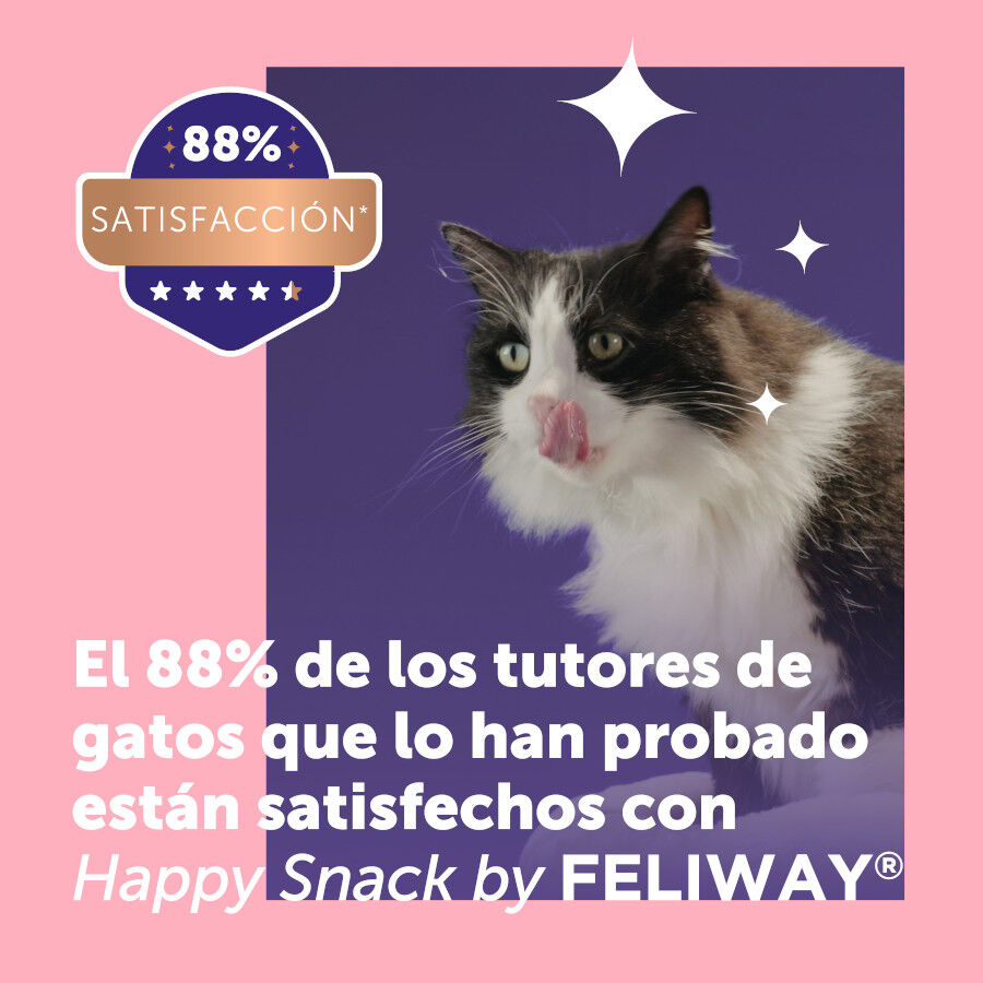 24 barritas Feliway Ceva Happy Snack Salm&oacute;n para gatos, , large Imagen numero 4