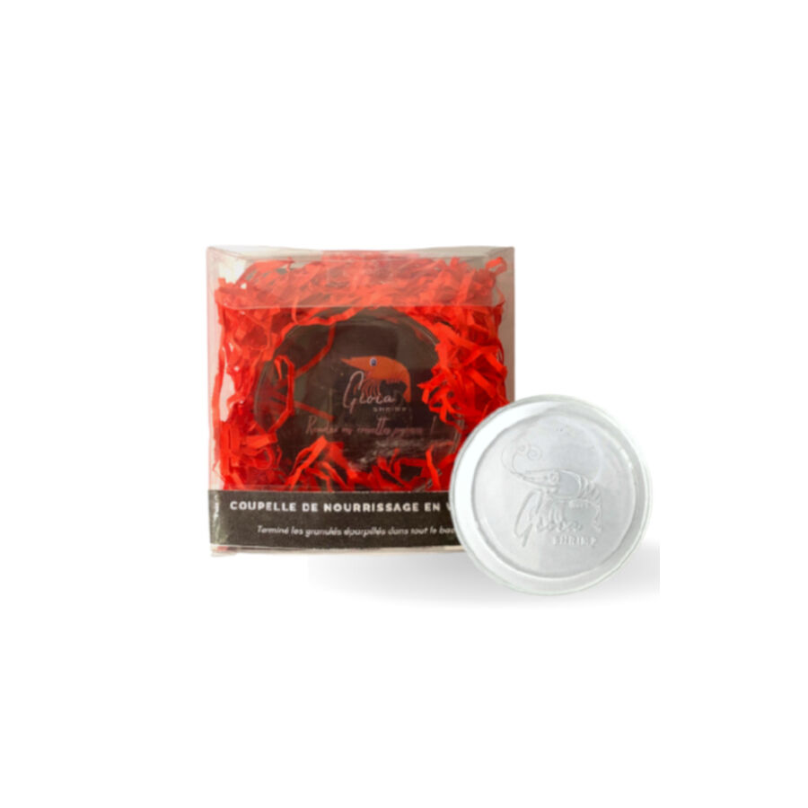 Gioia Shrimp Comedero de Cristal para gambas de acuario