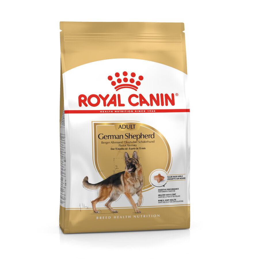 15 kg Royal Canin Digestive Pienso para pastor al&eacute;man, , large Imagen numero 1