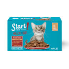 Start Cat Selección de carnes sobre con gelatina para gatos, , large image number null