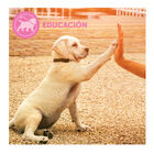 Adaptil Junior Collar Anti-estrés para perros , , large image number null