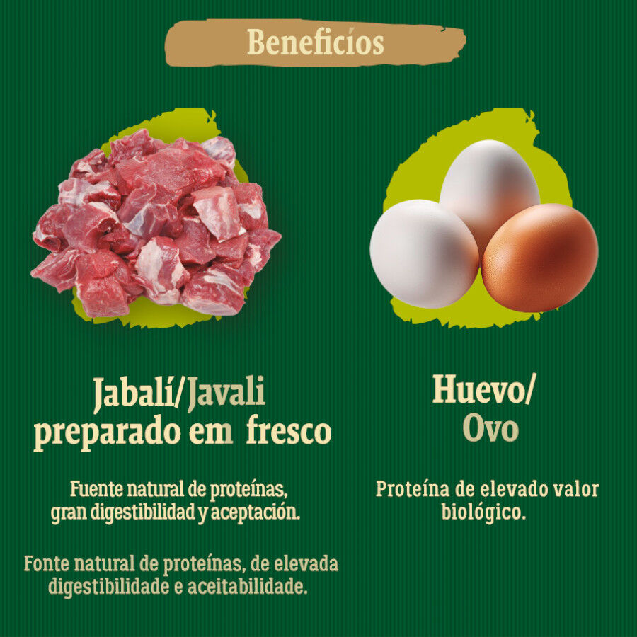 3 kg True Origins Wild Greenlands pienso para perros, , large Imagen numero 5