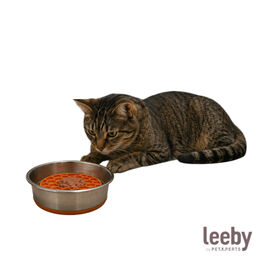 Leeby Comedero Antivoracidad de Acero Inoxidable para gatos