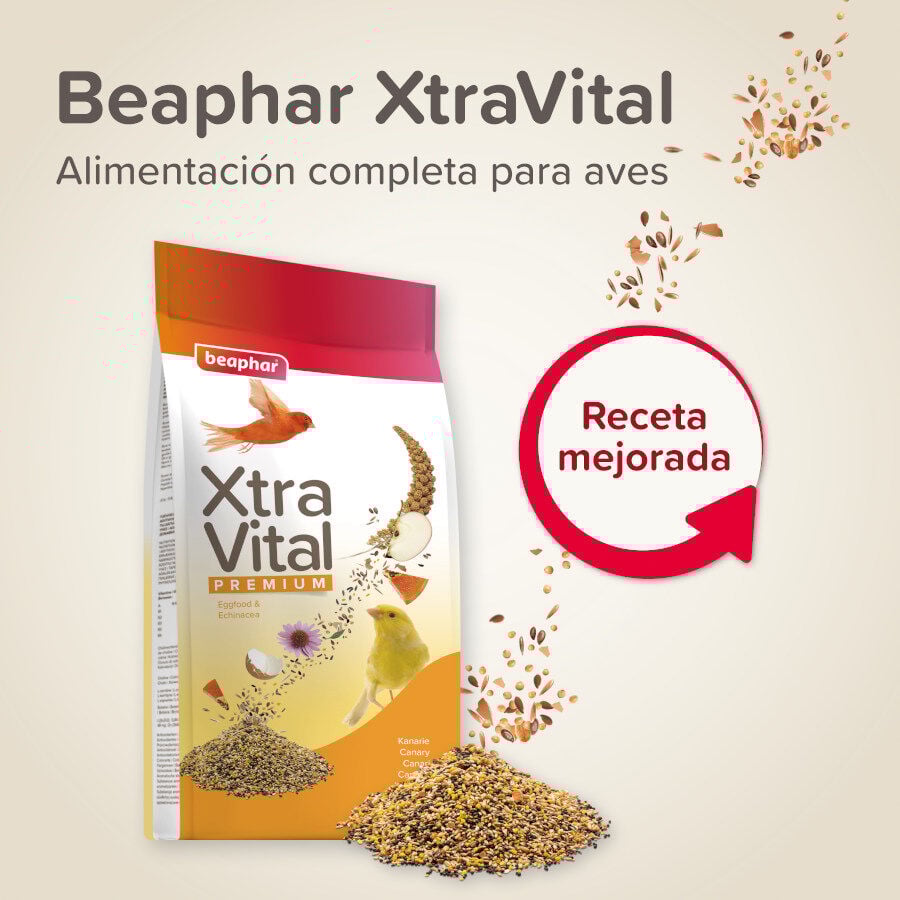 Beaphar XtraVital Premium Canarios alimento para pájaros thumbnail