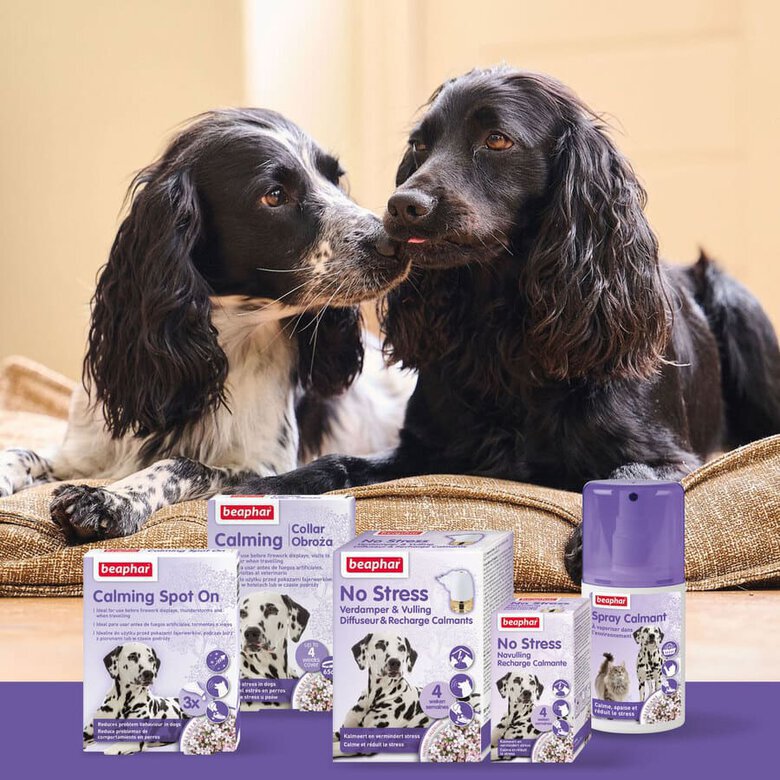 collar_perros_Beaphar_Calming_relajante_BEA11091_M_AG23_5 Imagen numero 5 Beaphar Calming Collar Relajante para perros5 Imagen numero 5