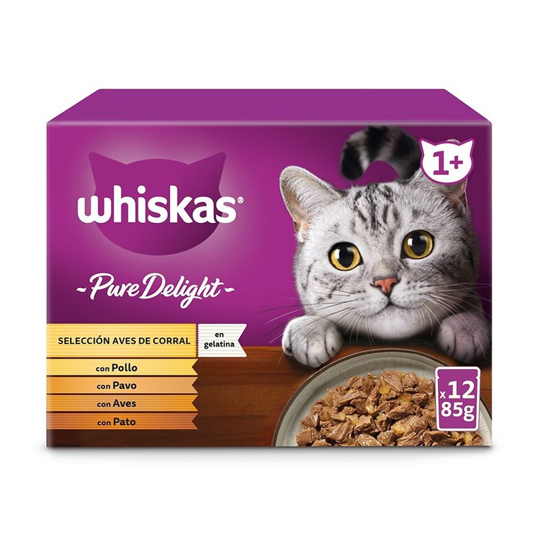4 sobres x 85 g Whiskas Pure Delight Selección Aves Gelatina en Bolsita para gatos,  Imagen numero 2 4 sobres x 85 g Whiskas Pure Delight Selección Aves Gelatina en Bolsita para gatos, , large Imagen numero 2