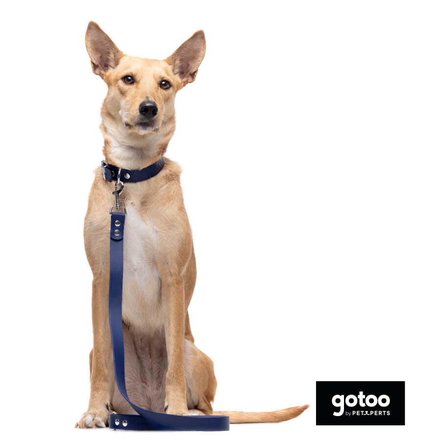 Gotoo Collar Biothane azul para perros, , large Imagen numero 9