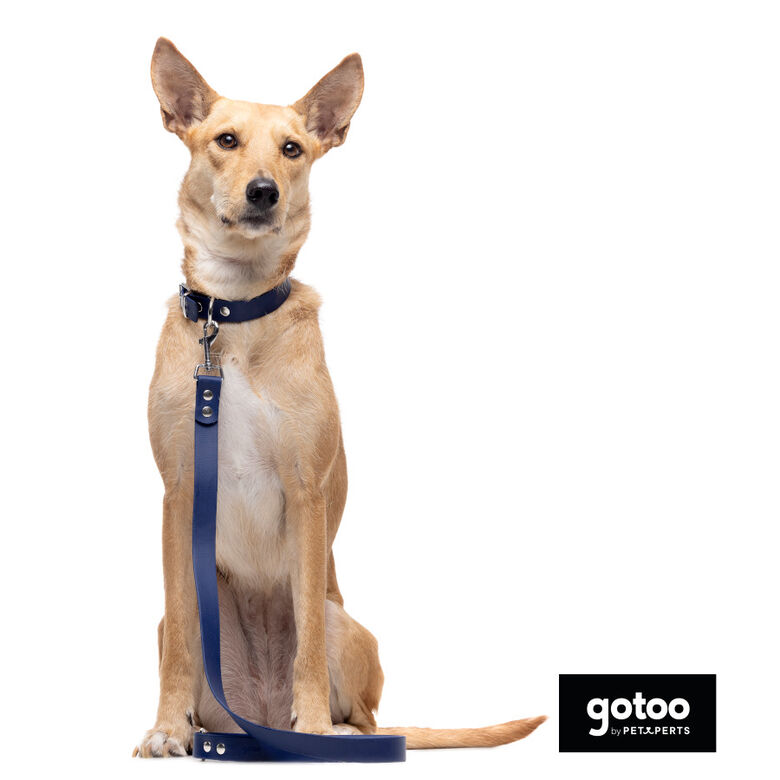 Gotoo Collar Biothane azul para perros thumbnail