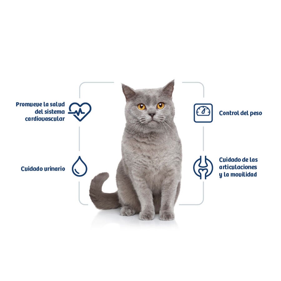 Nath Adult Sterilised Pollo y Arroz pienso para gatos thumbnail