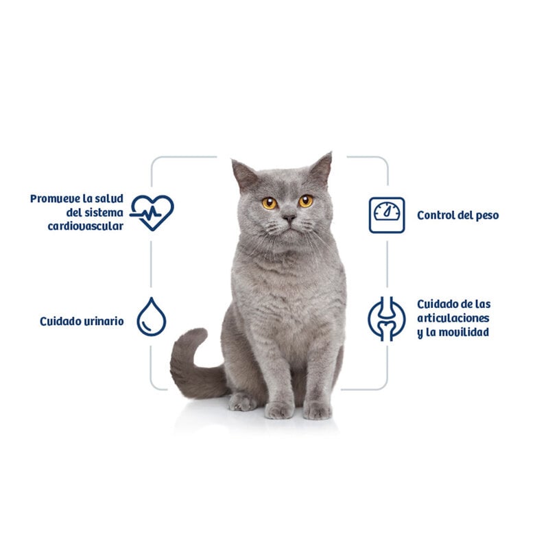 10 kg Nath Adult Sterilised Pollo y Arroz pienso para gatos,  Imagen numero 2 10 kg Nath Adult Sterilised Pollo y Arroz pienso para gatos, , large Imagen numero 2